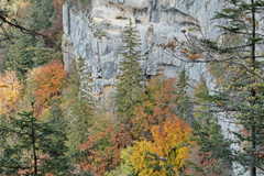 Herbstwald im Felskessel